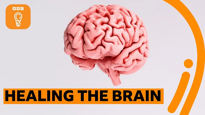 The incredible way our brain can heal itself | BBC Ideas