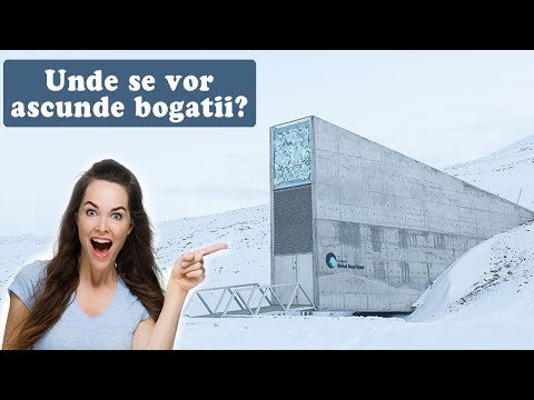 Video: Constructori De Buncăre - Vedere Alternativă