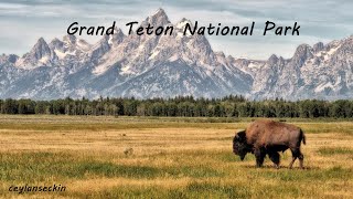 Grand Teton National Park - Road Drive with Relaxing Music