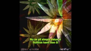 La nereĝojigeblulo – Gijom Armide – kun subtekstoj