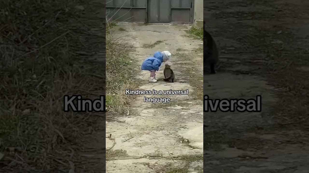 Kindness is a universal language 💛🐾 