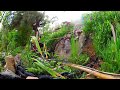 Jardin chillout