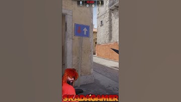 USE ESSA PRO NIP DA INFERNO #cs2 #skadinha