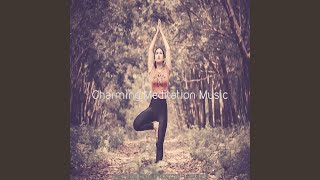Simplistic Backdrops for Deep Meditation
