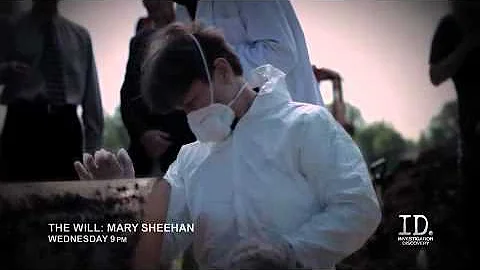 The Will: Corrupt Irish Families - Mary Sheehan
