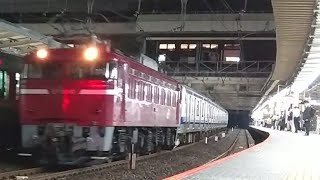 【EF81-141牽引】E531系K465編成AM入場配給大宮駅通過