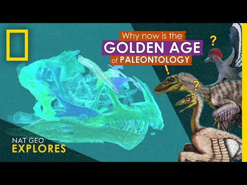 Why Now is the Golden Age of Paleontology | Nat Geo Explores