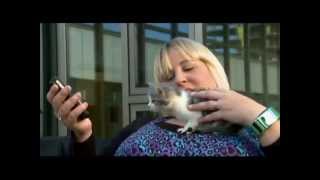 Sheena's Review Wahoo: Human to Cat translator screenshot 5