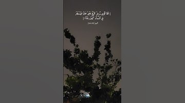 سورة الروم #اسلام_صبحي #قرآن #عبدالرحمن_مسعد