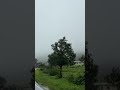 monsoon in maharashtra ❌️ heaven ✅️ #monsoon #maharashtra #tamhinighat #heaven