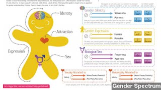 School's Gender-Inclusive 'Purple Penguins' Tip Causes Stir