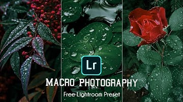 MACRO PHOTOGRAPHY - Lightroom mobile preset - macro presets - lightroom Editing - DNG format