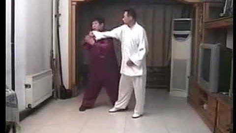 Master Chen Yu on XinJia YiLu (New Form Form One) Application (3)