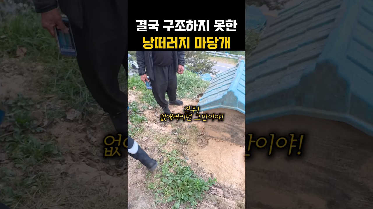 다시 낭떠러지로 되돌아간 1m목줄의 마당개