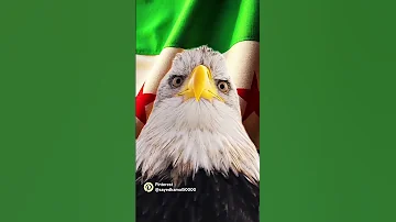 على الصقر لا تقرب ابعد يا غراب 