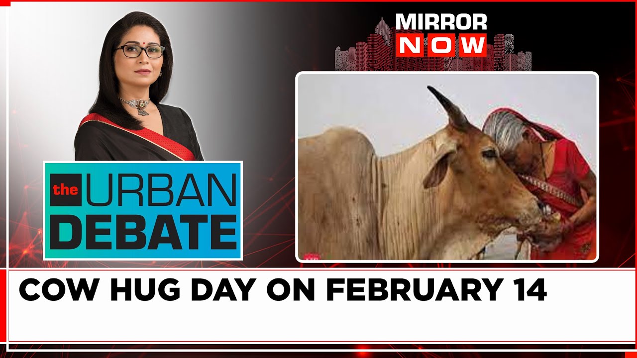 Animal Welfare Dept. Wants To Mark Cow Hug Day | No Valentine? Hug A Cow Instead | Urban Debate