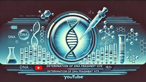 #DNAAnalysis #GelElectrophoresis #Biotechnology  #MolecularBiology #DNAFragmentSize #DNAfingerprint