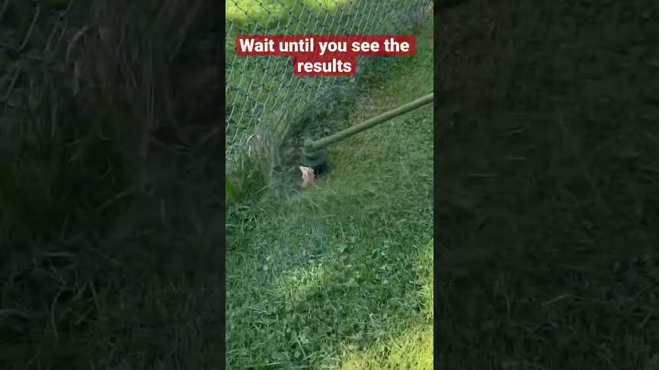 Best Trimmer Line On The PLANET 