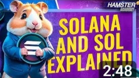 How Solana Works A Beginner Guide Hamster Academy