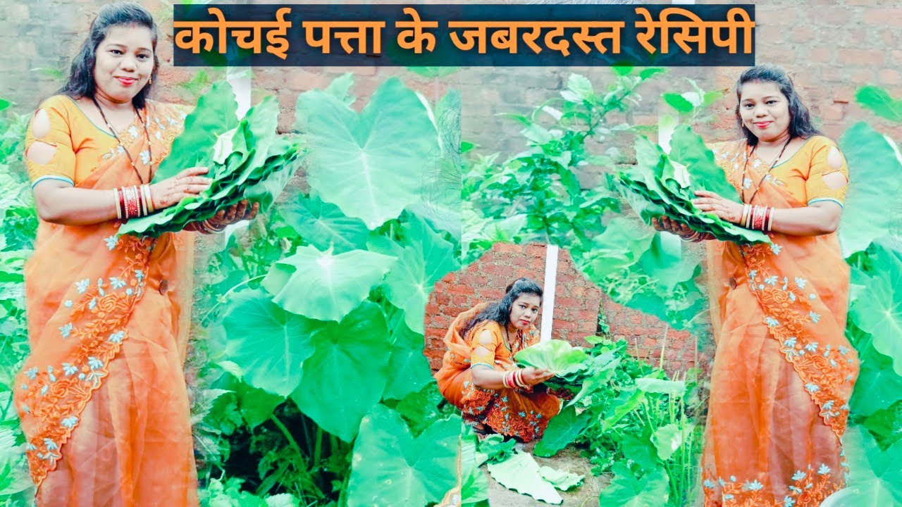 Arbi Patti Ka arbi-patti-ka