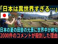 【海外の反応】「日本は異世界だ！」日本の夏の田舎の光景に世界中からコメントが殺到した理由【総集編】
