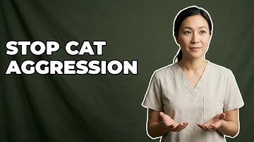 What Should I Do For Fear Aggression?