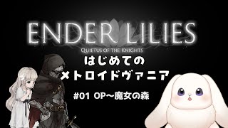 【ENDER LILIES】はじめてのメトロイドヴァニア