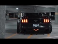 A R A T A R E  4K | Hunting Mustang