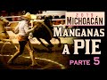 MANGANAS A PIE parte 5 - Congreso Morelia 2019