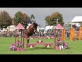 Showjumping -Int Stairway 2014   Royal Berkshire Show