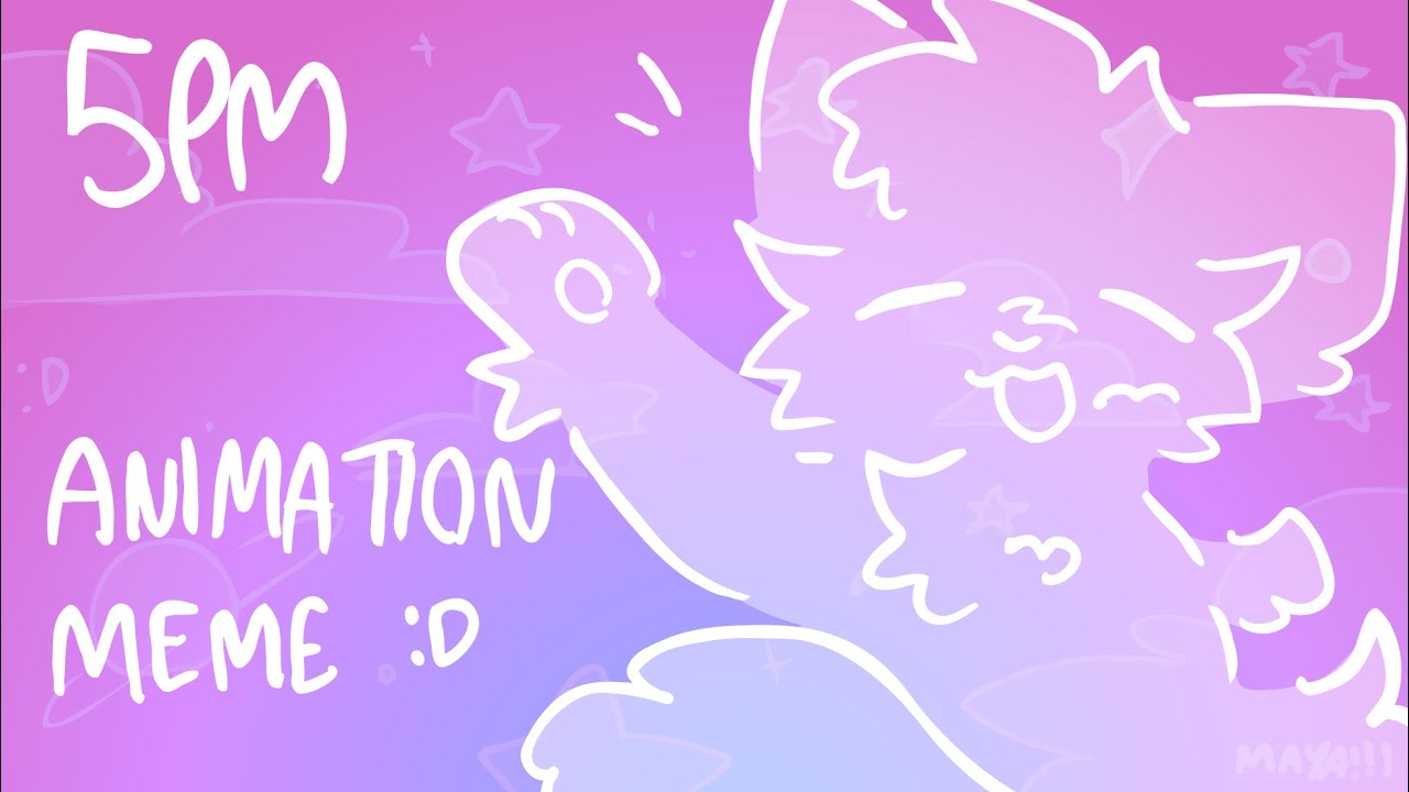 5pm // animation meme !!