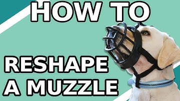 How to Reshape a Baskerville Muzzle