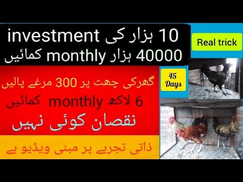 45 days chicken business plan in hindi