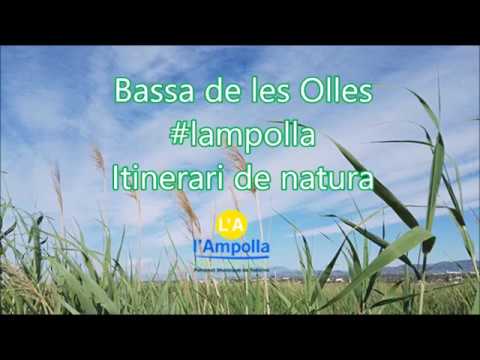 Vídeo: Preses AUTOPROFI: Escollim Preses D’enrotllament, Cargol, Ampolla I Altres. Visió General De 2 T, 20 T I Altres Models De Càrrega