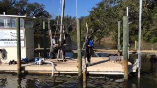 Piling removal