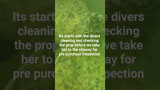 It all starts with a dive report.