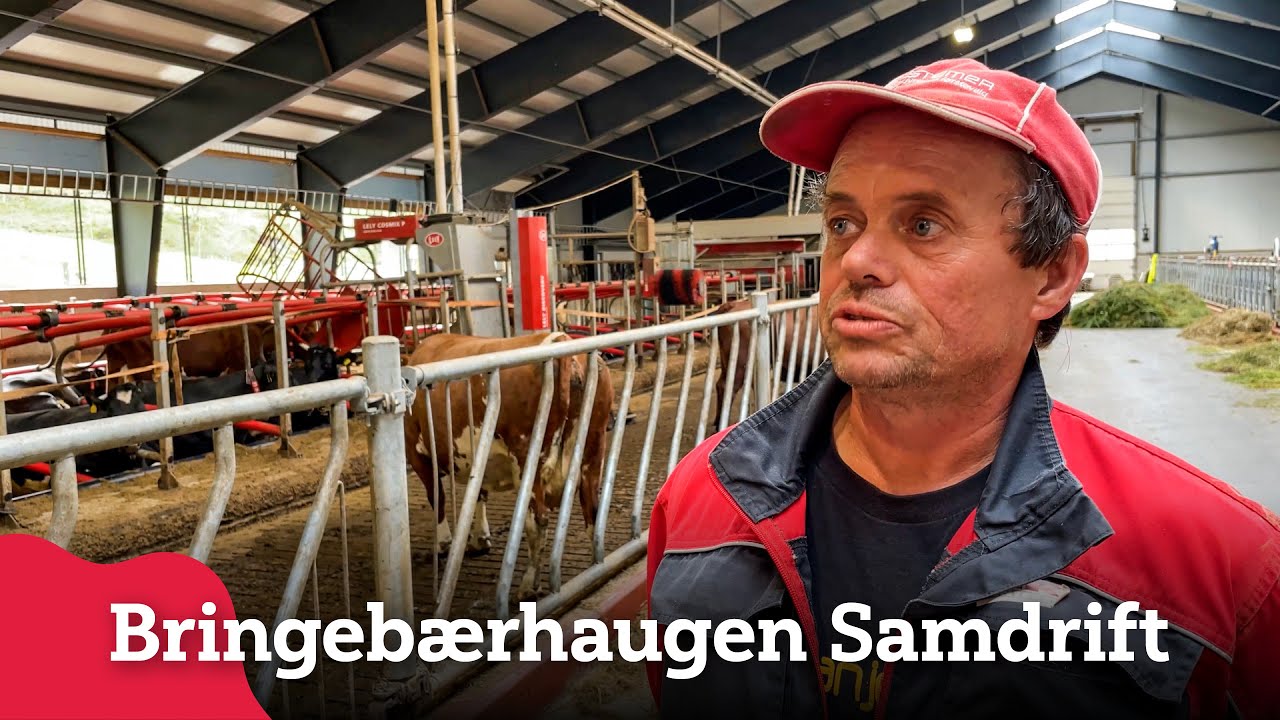 Plansilo under tak hos Bringebærhaugen Samdrift DA