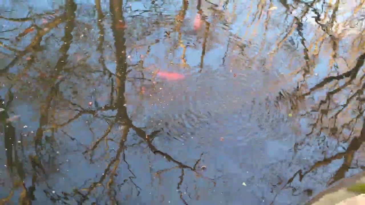 Fishing...  (3/6/2016)