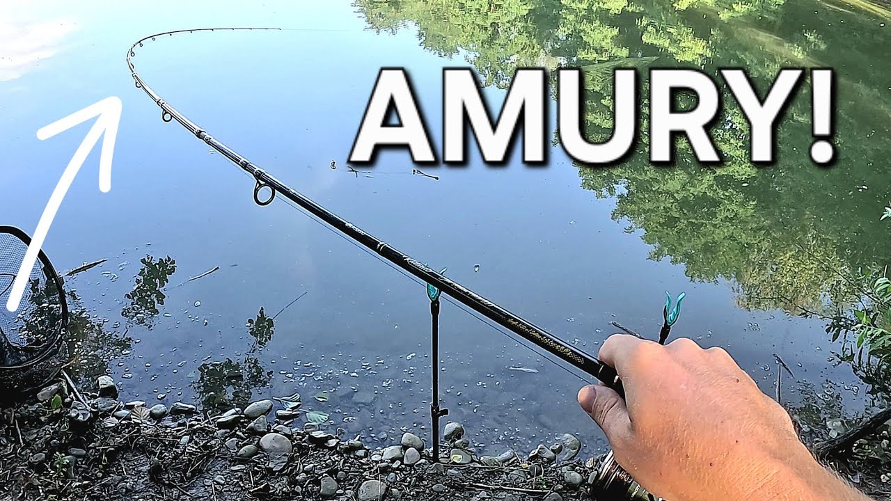 Zatoka która skrywa Marzenia Wędkarzy! Niesamowity Dzień z Method feeder! Wędkarstwo Feederowe