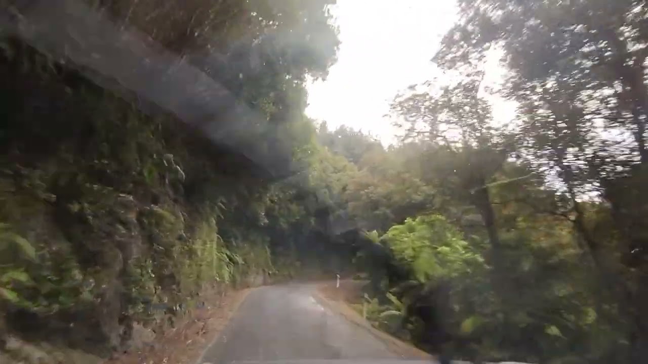 Evening Forest Drive 98 Return - Akatarawa Road Rambles