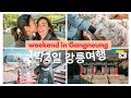 1박2일 겨울 강릉여행 브이로그 | 대관령 양떼목장, 초당 순두부, 경포해변, 카페거리 | 국제커플 국내여행