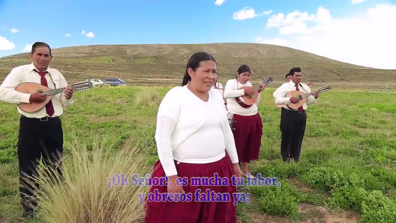 conjunto instrumental Majestad