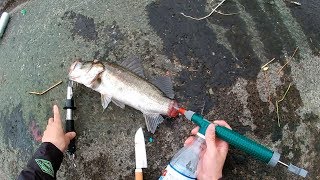 自作津本式携帯型血抜きポンプ Youtube