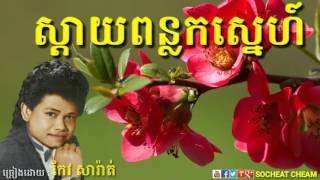 ស្ដាយពន្លកស្នេហ៍ - Sday Ponlok Sne - កែវសារ៉ាត់ - Keo Sarath - Khmer Oldies Song