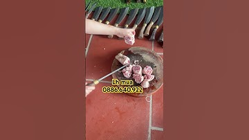 Pangiang chặt xương siêu sắc bén..lò rèn thảo P/s