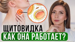 Без нее тело ПОСТАРЕЕТ за 1 ГОД. Как работает ЩИТОВИДНАЯ ЖЕЛЕЗА?