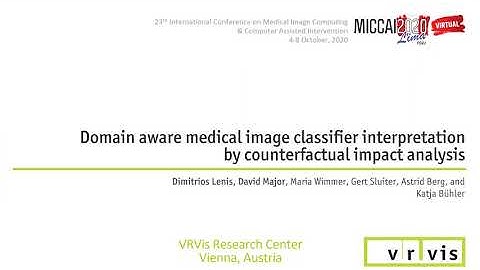 Domain Aware Medical Image Classifier Interpretation by Counterfactual Impact Analysis