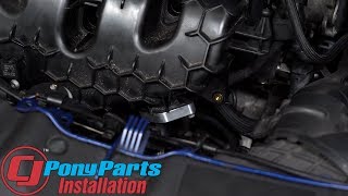 Focus ST Steeda Sound Symposer Delete Kit With Boost Port 2013-2018 Installation