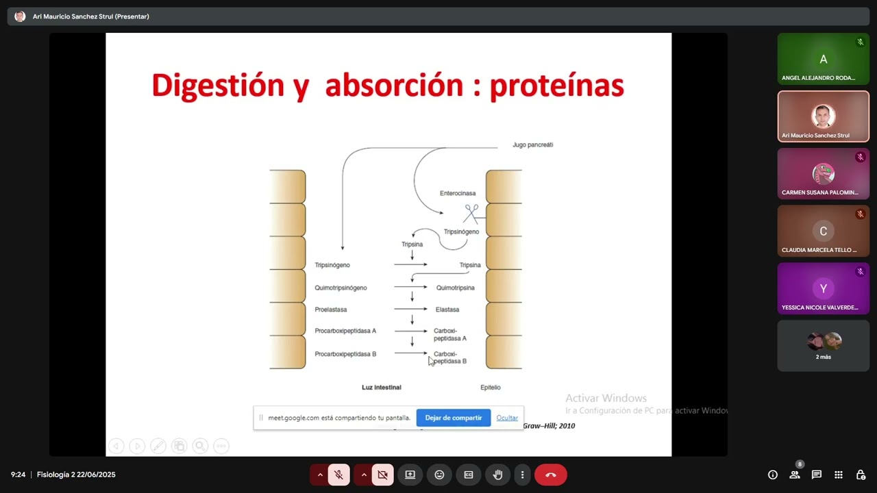 Fisiología 2: Absorción y digestión + Motilidad Gastrointestinal