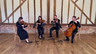 Girls Just Want To Have Fun - Cyndi Lauper - Scintillo String Quartet